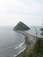 Птичий остров