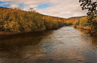 Осенней природы каприз