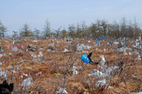 Пришла весна - пора пакетам расцветать))))