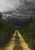 Дорога в никуда