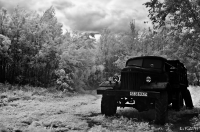 ...белое лето