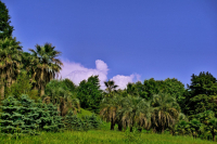 где нас нет