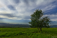 ушедшее лето..