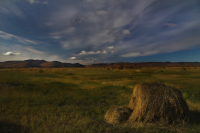 дела осенние