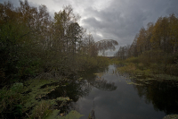 осенние зарисовки