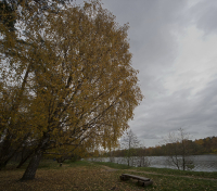 осенние зарисовки