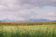 Что было, что есть, что будет