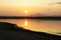 луч солнца золотого...