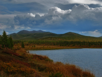 вестники печали