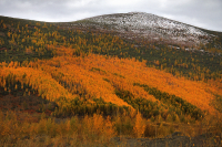 межсезонье