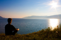 В поисках гармонии