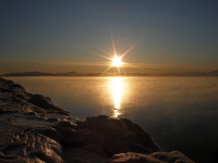 Январское солнце