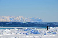 у самого синего моря....