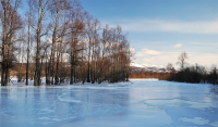 В замерзших руслах тихих рек...
