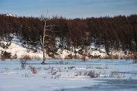 Одиночество...