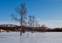 По замерзшим водам реки ...
