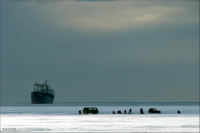 По мотивам "челюскинцев"