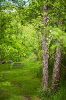 на солнечном