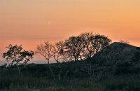 Был вечер поздний и багровый..