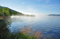 утро туманное