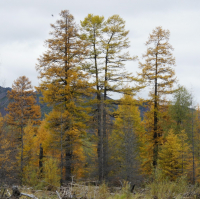 пошепчемся?
