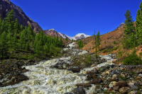 Горный Алтай. Ледник Актру