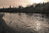 Тревожна зыбью, речная рябь...