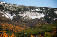 Уже слышны зимы напевы...