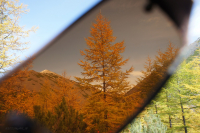 Оранжевое настроение