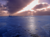 "Одинокий охотник"