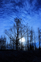 Светлая ночь