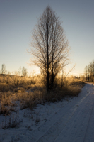 Зимнее солнце