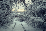 дорога в сказку