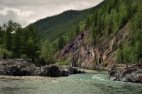 Изменчива порой, стремительна всегда...