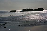 Бухта погибших кораблей