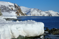 Залив Шельтинга