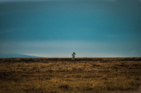 на болоте....