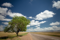 где-то в Сибири