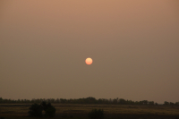 вот такой блинчик