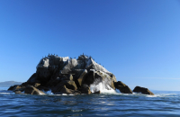 Стражи острова....