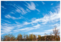 Уж небо осенью дышало...