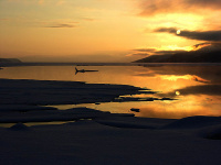 после...шторма