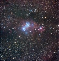 Туманность Рождественская елка