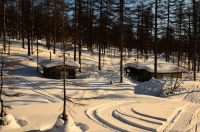 Отель в лесу.