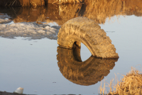 эстетика на помойке