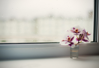 А за окном - дождь...