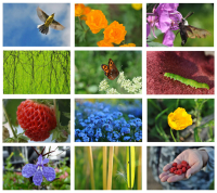 летнее настроение