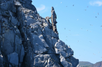 Базарный день.