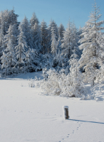 Там, на неведомых тропинках...