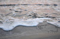 Следы на песке